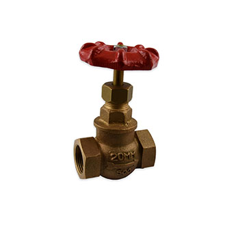 Globe Valve