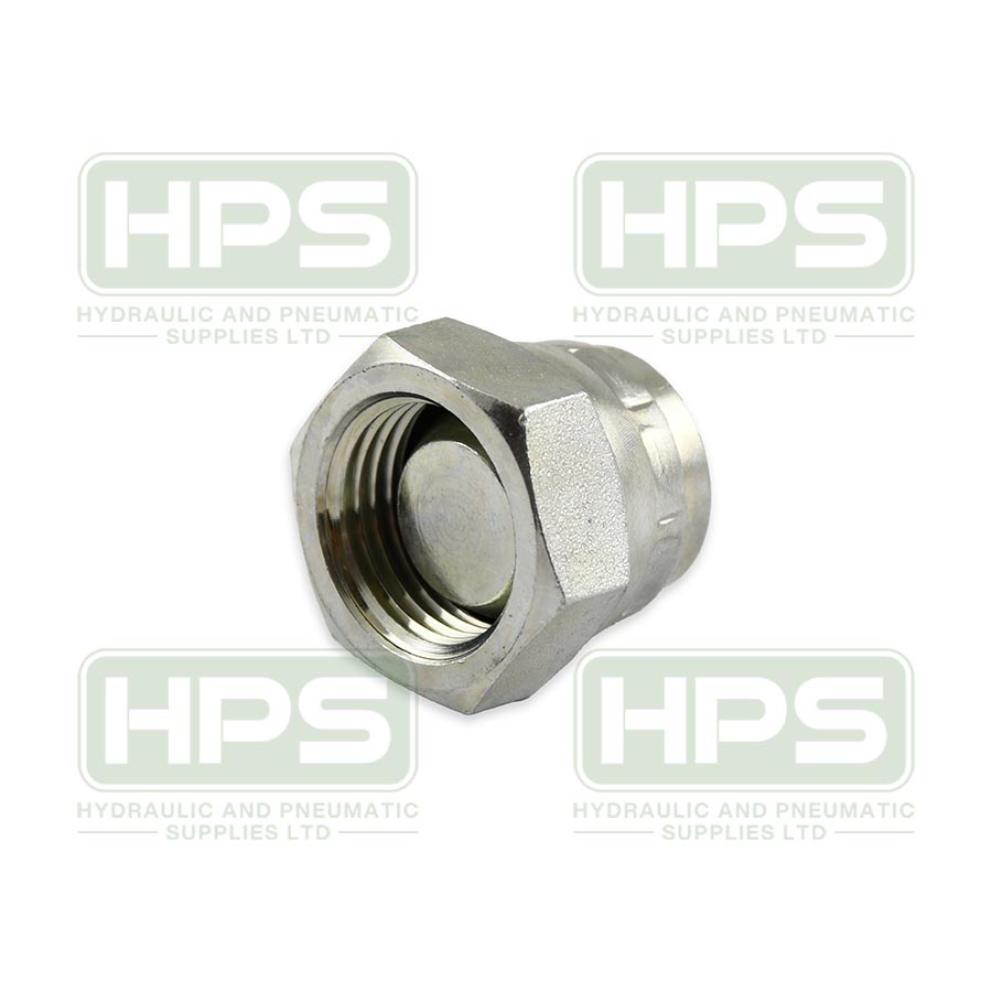 1/8&quot; BSPP Swivel Blanking Cap