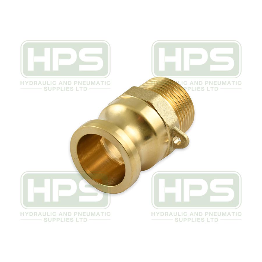 1/2&quot; BSPT MALE PLUG TYPE F BRASS