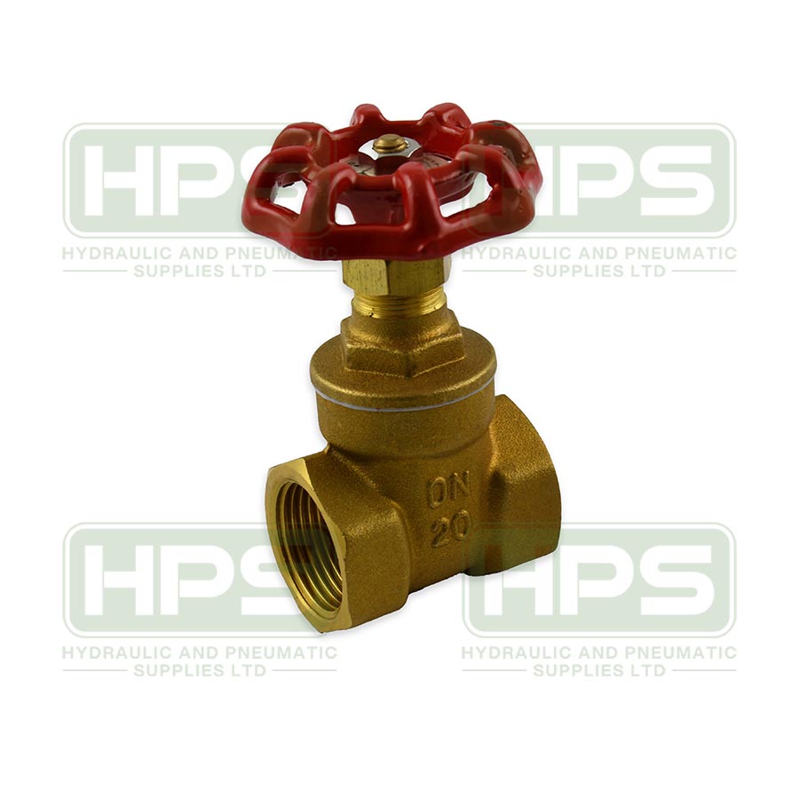 1/4&quot; PN20 Brass Gate Valve